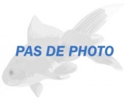 Copella arnoldi Chacin droser