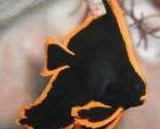 Platax pinnatus Červená šuvina