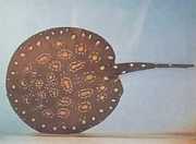 Potamotrygon leopoldi Leopold sladkovodná lí...